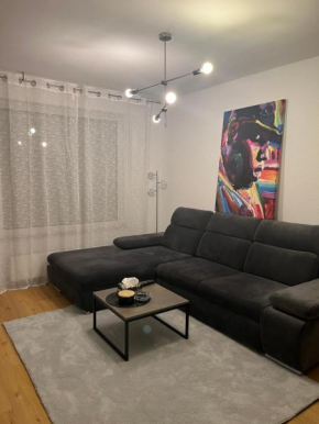 2 Rooms Airport Apartment